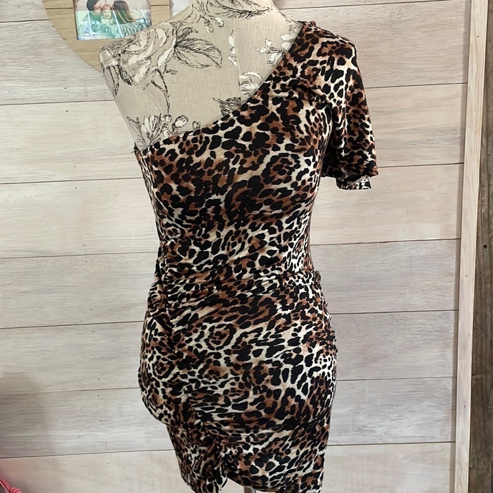 *🆕arden B Animal Print Stretch Top M